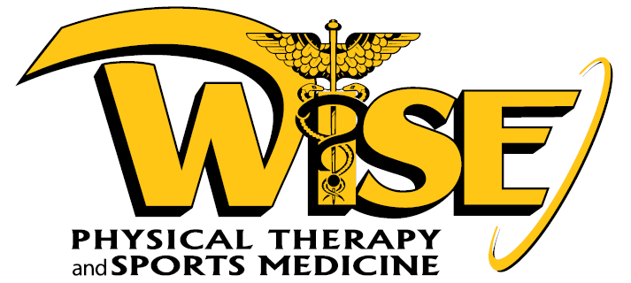 Wise Physical Therapy and Sports Medicine Group